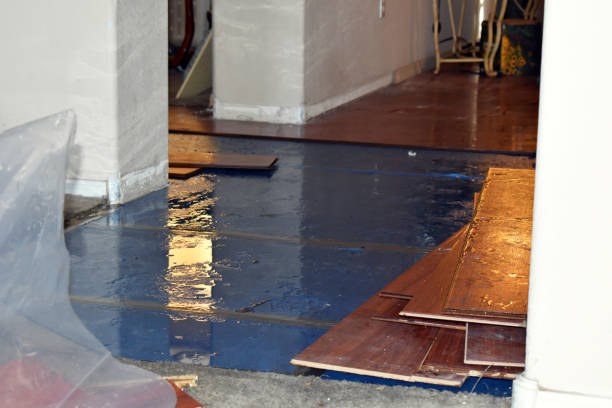 Professional Burst Pipe Cleanup technician working in Nordland, WA